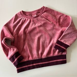 NWT Gymboree Velour top Size 4 (xs)